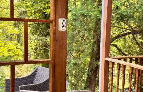 Little Gem - Foto 52