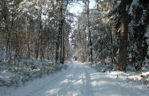 Holiday Home Hirtenkate Apartment 1 - Foto 49