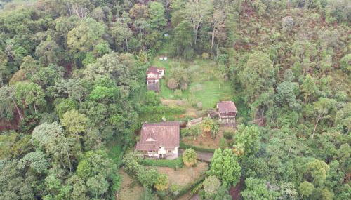 Refúgio Tranquilo na Natureza com Casa de Festas: Perfeito para Família e Amigos - Foto 3, Garden