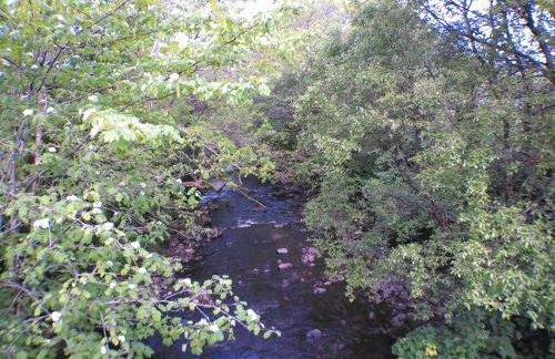 1 bedroom Annex in the heart of Amman Valley - Foto 9