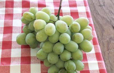 Casa dos chocalhos-Piscina-Perto Praia Fluvial-Vista incrível e sossego - Foto 22