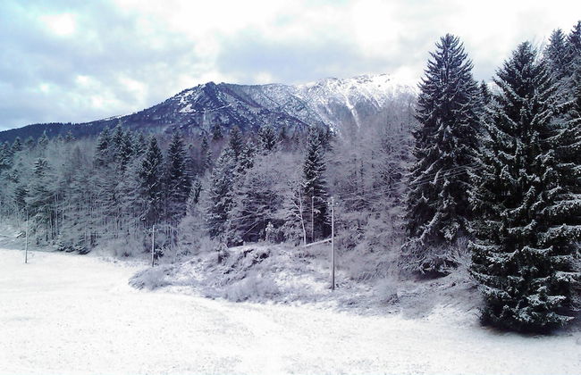 Casa Camilla Holiday - Photo 1