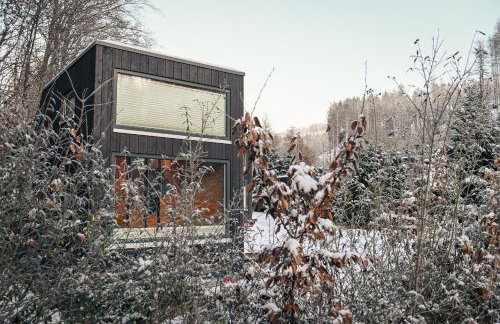 Tiny House Nature 3 - Green Tiny Village Harz - Foto 7
