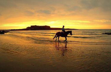 Loriot1- Appartement vue mer sur le fort bloqué ploemeur - Foto 10
