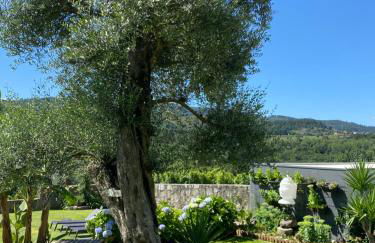 Casa D' Almeidas - Foto 52