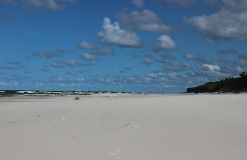 Brzozowa Polana - Foto 51