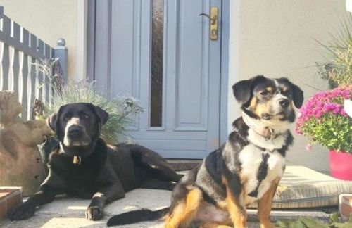 Ferienwohnung, Apartment, Pension - Berlin Neuenhagen - Photo 8