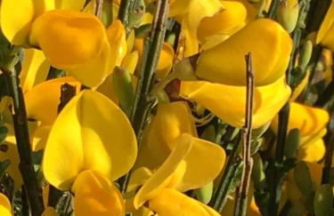 Studio le Sterne - Foto 22