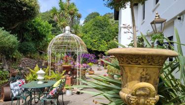 Palm Grove Apartments - Foto 1, Garden, Garden view