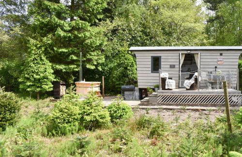 Spruce Shepherd's Hut - Foto 8