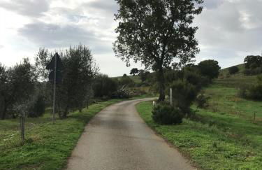 Podere Pini - Foto 1