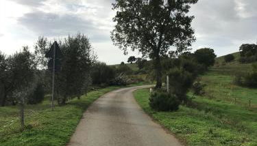 Podere Pini - Foto 1