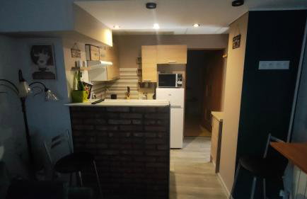 Apart Radzice - Foto 4