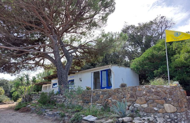 Club Corsicana FKK- Feriendorf - Foto 15