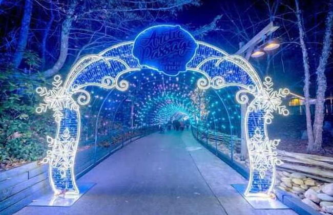 Waterfront Vista - Foto 17