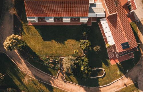 Vale Pisco - Photo 156