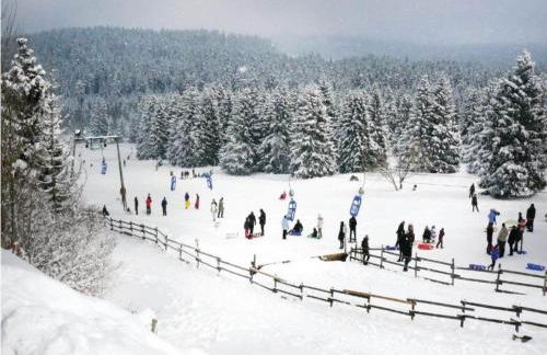 Welcoming Bungalows in Neustadt - Foto 14