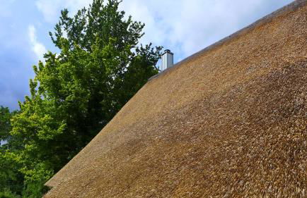 Haus Käthe am Deich - Foto 24