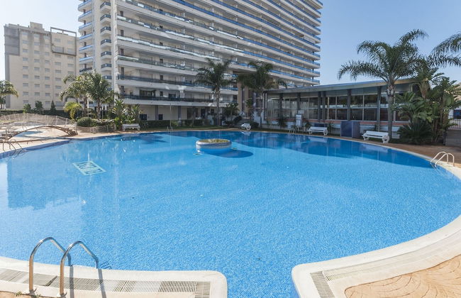 Alejandrita in Grau i Platja - Foto 2