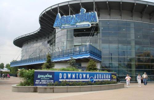 Wellness Retreat - Sauna - Hot Tub - Broomfield - Foto 79