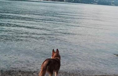 La Casa di Perla BILOCALE A 6 Kilometri da SALO' - Foto 35