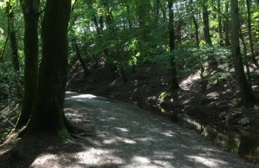 Little Pinfold Cottage - Foto 28