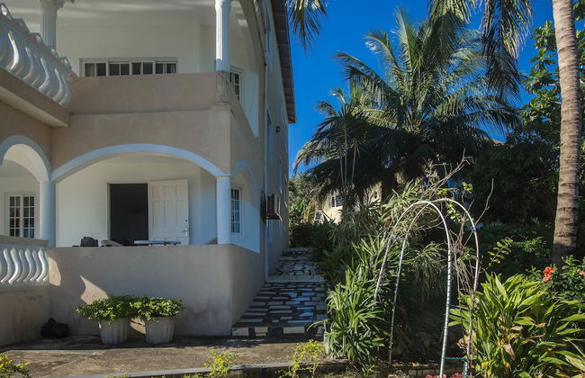 Tall Palms - Photo 18