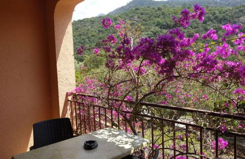 Studio Residence Cabanaccia Studio 35m² by Interhome - Foto 4