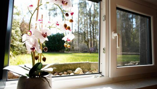 Waldidylle - Foto 3, Garden view