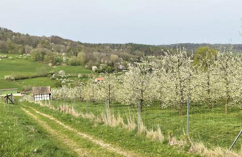 Wohlfühloase Ermreuth - Photo 41