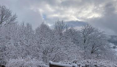 Cozy chalet in the Vosges with scenic views - Foto 3