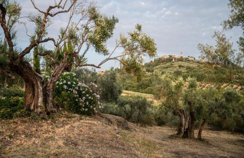 Villa in Agello - Photo 69