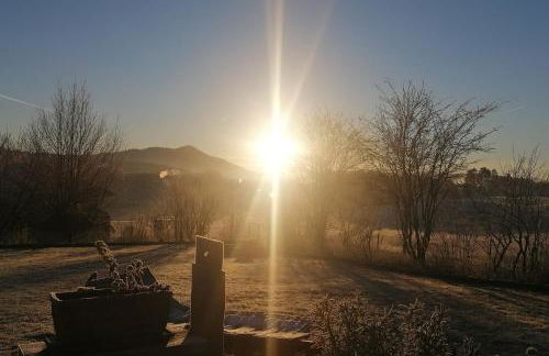 Bayerwald Chalet Liebenstein - Foto 25