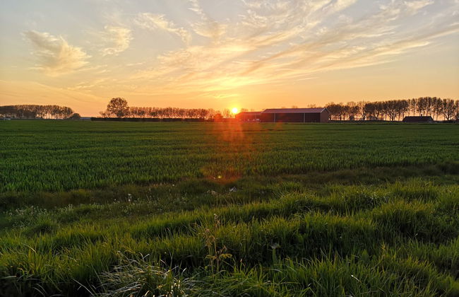 2 bedroom House in Schoondijke with garden and terrace - Photo 32