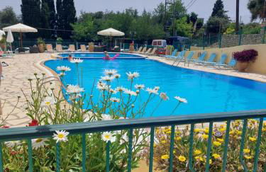 Maria Studios - Foto 10