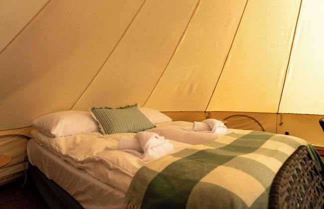 Skårungen - Photo 77