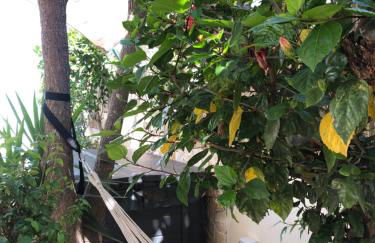 Vila Luisa Anabela Piscine et Jacuzzi - Foto 7