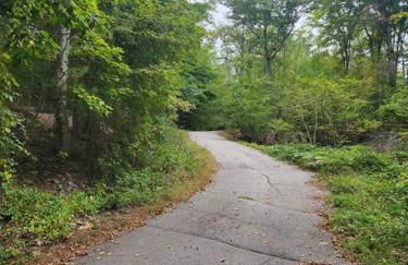 NEW! Peaceful Retreat at Nary Hill - Photo 26