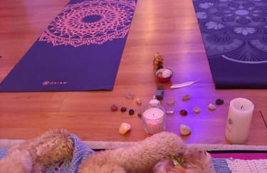 Tree House 6 bedrooms, 2 blocks from everything - Foto 38