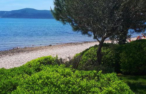 Luxury Apartment Slavica by the sea,with garden - Foto 30