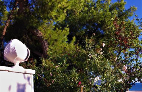 Le Due Pigne - Foto 23