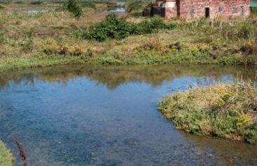 Stella di Mare - Cà Savio - Foto 54