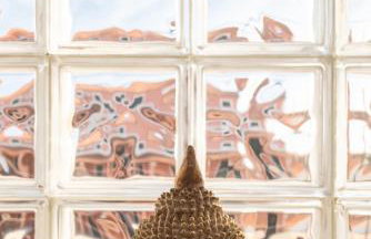 Angelina Studios - Foto 57