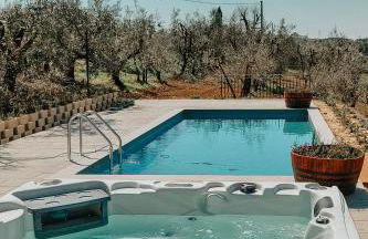 The Olive Grove in Tuscany - Foto 3