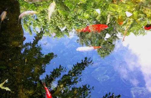 Casa Do Palheiro - Photo 45