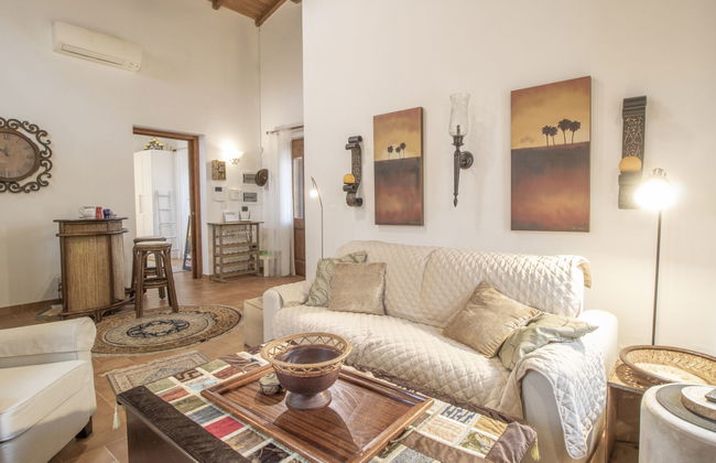 Olive Grove Sabina - Foto 11