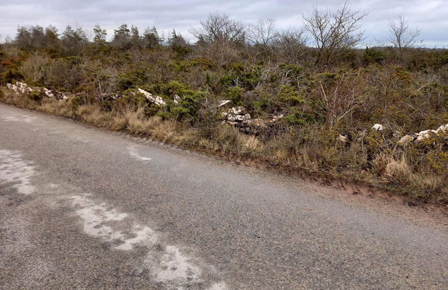 Nostalgic Island Idyll in Aaeu\"land-by Traum - Foto 7