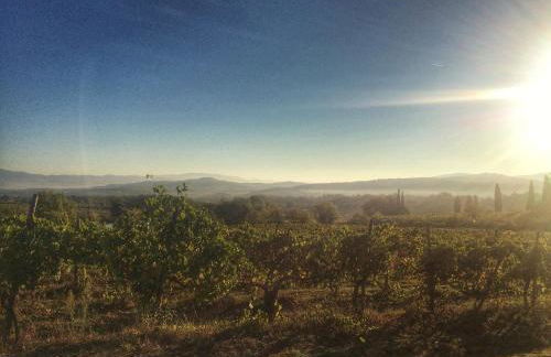 Tenuta Lupinari - Foto 58