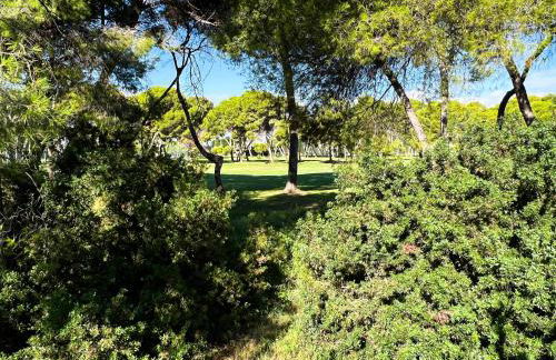 Oasis a 50m del Mar - Photo 55