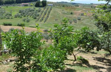 Casa Dona' Penne - Photo 20